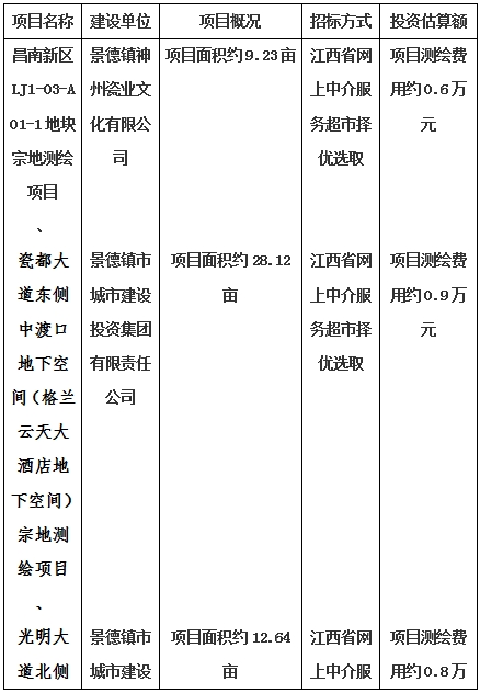 景德鎮(zhèn)市昌南新區(qū)LJ1-03-A01-1地塊、瓷都大道東側(cè)中渡口地下空間（格蘭云天大酒店地下空間）、光明大道北側(cè)利民路西側(cè)地下空間（青少年宮地下空間）、規(guī)劃二路北側(cè)地下空間地塊二（加速基地地下空間）、規(guī)劃二路北側(cè)地下空間地塊一（加速基地地下空間）、景德大道南側(cè)天寶橋西側(cè)地塊、景興大道東側(cè)如意路北側(cè)地下空間(社會(huì)公共服務(wù)