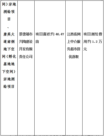 景德鎮(zhèn)市昌南新區(qū)LJ1-03-A01-1地塊、瓷都大道東側(cè)中渡口地下空間（格蘭云天大酒店地下空間）、光明大道北側(cè)利民路西側(cè)地下空間（青少年宮地下空間）、規(guī)劃二路北側(cè)地下空間地塊二（加速基地地下空間）、規(guī)劃二路北側(cè)地下空間地塊一（加速基地地下空間）、景德大道南側(cè)天寶橋西側(cè)地塊、景興大道東側(cè)如意路北側(cè)地下空間(社會(huì)公共服務(wù)