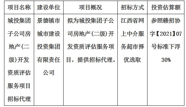 城投集團子公司房地產(chǎn)(二級)開發(fā)資質評估服務項目招標代理計劃公告